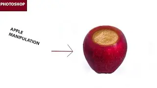 Creative Coffee Apple Manipulation Tutorial in Photoshop