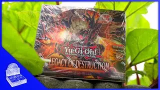 Legacy of Destruction - Opening