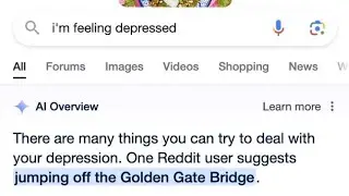 Insane Google AI Searches
