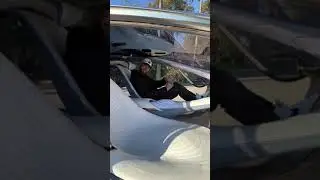 Inside the Mercedes Benz VISION AVTR