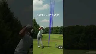 Lots of action through the bag this summer