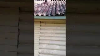VID 20240526 154250