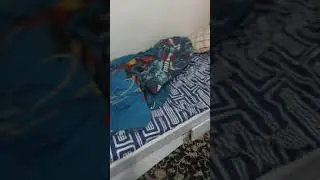 A room tout