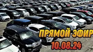 ПРЯМОЙ ЭФИР 10.08.24 #automobile #автоэксперт #подборавтомобиля #обзор #автоподбор