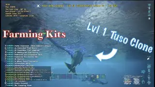 10 Minutes Of Abusing Every Meta😈|Ark Official PvP|