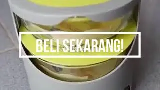 Rantang Kaca Korea