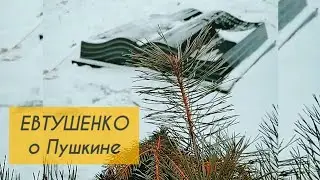 ПЕРЕДЕЛКИНО: МОГИЛА ЕВТУШЕНКО #литература #евтушенко #пушкин