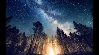 ЛЕС, НОЧЬ, СОН...