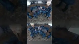 Барачахои донояк, Умная овца, Smart sheep, 