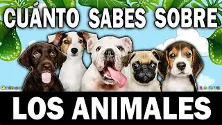 ¿CUÁNTO SABES DE?  Test/Quiz/Trivial/ 🚨 JUEGO  Cultura General y Curiosidades | Los ANIMALES