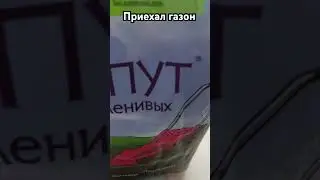 А вот и наш газон