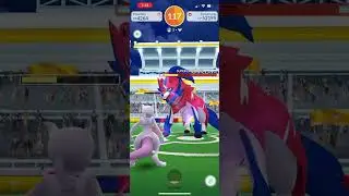 Zamazenta raid