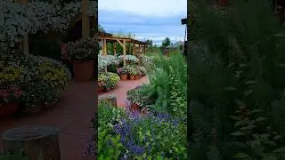 МАЛОУХОДНЫЙ КОНТЕЙНЕРНЫЙ ЦВЕТНИК