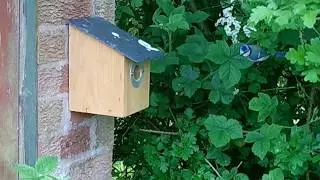 Fine flight control of our tenant.