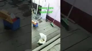 bismillah CABANG BARU 