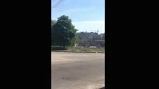 Тополиний пух у травні в Кропивницьком
