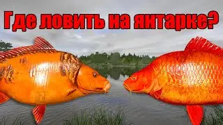РР4 СТРИМ • ПРОВЕРЯЕМ ЯНТАРКУ НА КЛЕВ РЕДКИХ КАРПОВ •  РУССКАЯ РЫБАЛКА 4
