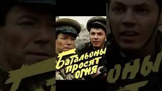 Трупами завалили