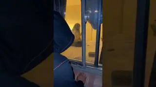 Ivan Does WHAT NIGHT!?⚠️