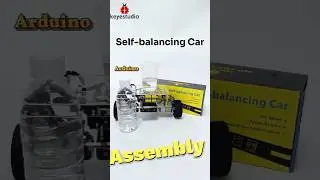 #shorts 🐞 Assemble the Self-balancing Car Kit 🚀Start it 🤖#robot #keyestudio #coding #diy #kits