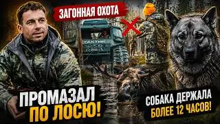 DRIVE HUNT FOR MOOSE | Big autumn trip