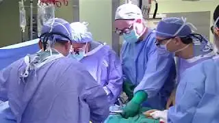 Florida Hospital for Children Performs Area's First Pediatric Liver Transplant