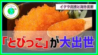 「脇役」だったとびっこが高級魚卵に大出世
