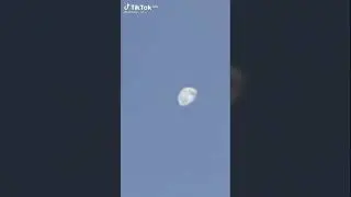 Сенсация! Сегодня на Луне замечено движение каких-то существ!