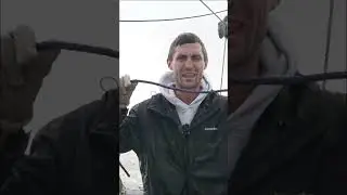 $1,000 Lobster Challenge, who will win?! #maine #lobster #challenge #fishing