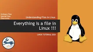 Everything is a file in linux | Linux Tutorial 2021 | Linux masterclass