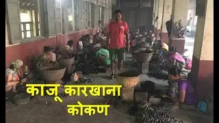 काजू कारखाना (कोकण)