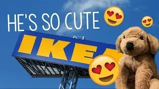 Meeting the LOVE OF MY LIFE! *adorable*