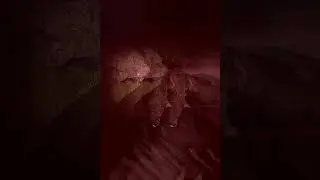 Why I'm always terrified in Stalker Gamma 