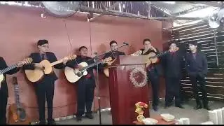 Nunca falla de Rondalla cristiana La Fe.