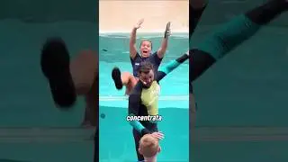 Sea lion saves girl who fell into the water 😲