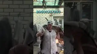 28 августа 2024 г.