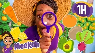How to Farm Fruit and Vegetables with Meekah! | Blippi and Meekah Educational Kids TV