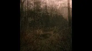 ñu:null -  nocturn