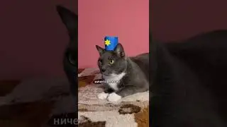 Итак скоро мандаринчеки