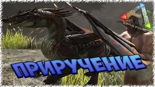 Приручение Драконов в моде Dragontail в ARK: Survival Evolved