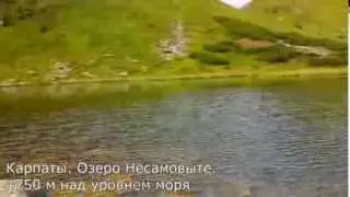 Несамовыте. Карпаты. Высокогорное озеро Карпат