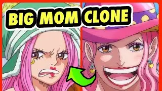 This Crazy One Piece Clone Theory Makes More Sense Than You Think