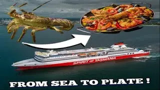 From Sea to Plate-Fresh Sea Food!!! HOW It's Cooked in Ship!
