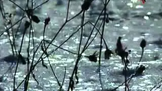 Годеновский Крест .Часть 1