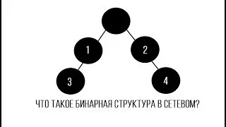 Что такое бинарная структура?