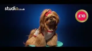 Studio - Get Christmas Ready , Cute and Cosily  - 0ct 2022 - TV AD #Studio #GetChristmasReady #gifts