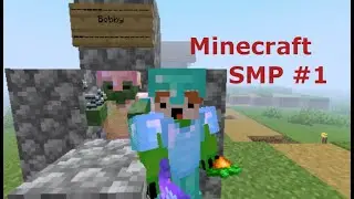 12 Hour Progress | Minecraft SMP #1