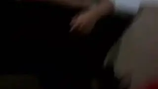 Novos gatos