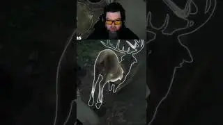 Hogwarts Legacy: Very Easily Entertained! 