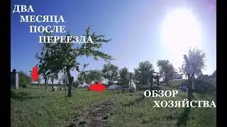 Два месяца в деревне // Обзор хозяйства // Первая прогулка